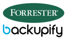forrester backupify data protection and backup report